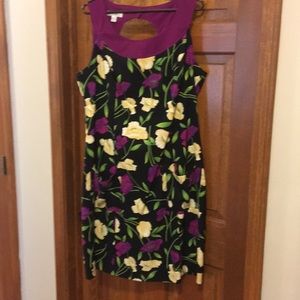 Dress NWOT